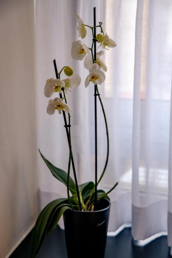 Triple A - Prime Location - Between Monastiraki & Syntagma Square-Free Parking! 雅典 外观 照片